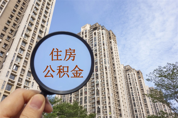 南城公积金离职了可以取多少（南城公积金离职了可以取多少钱一个月）
